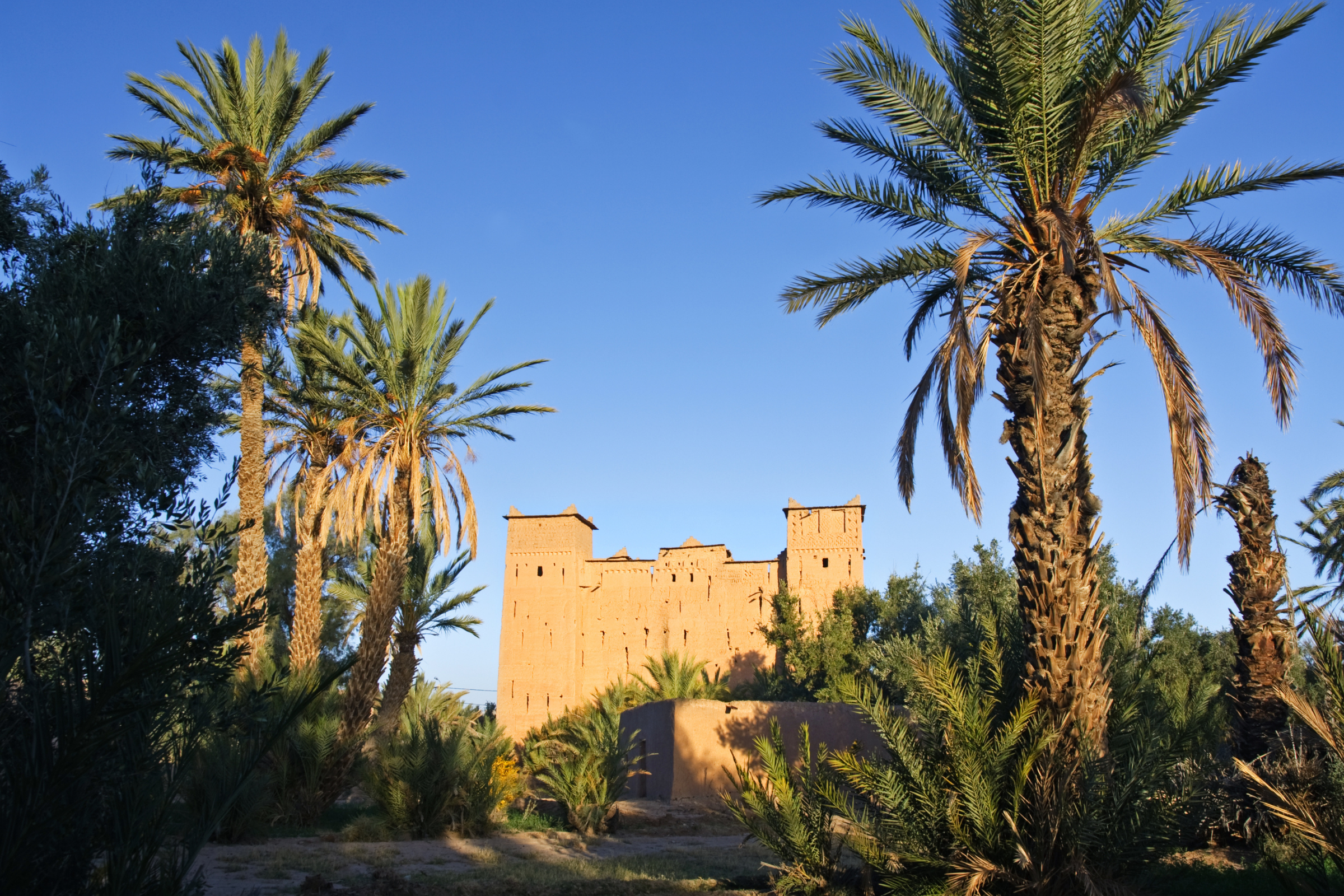 skoura (2).webp